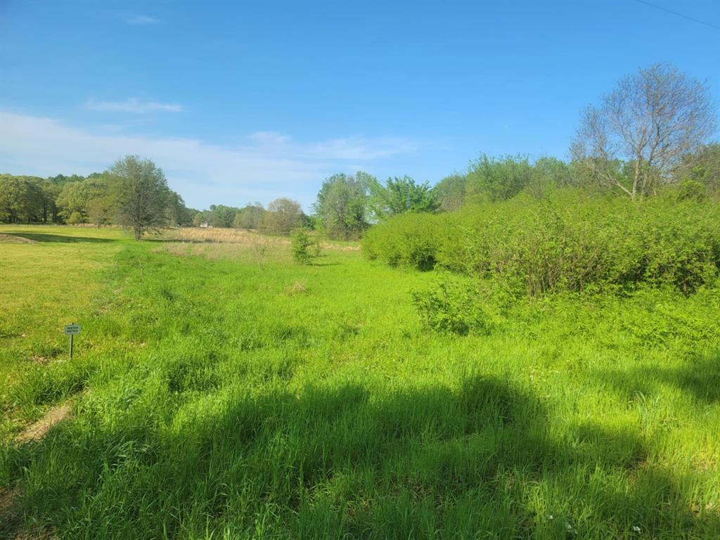 1821 County Road 1570 Property Photo
