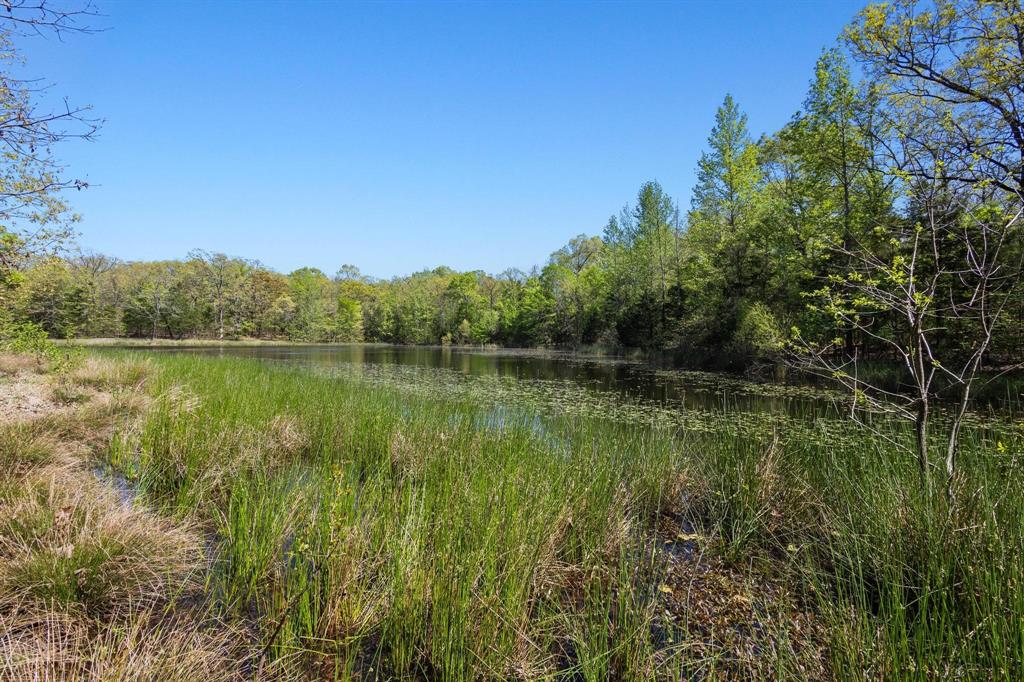 Tbd Fr 906 E Tx Property Photo 6