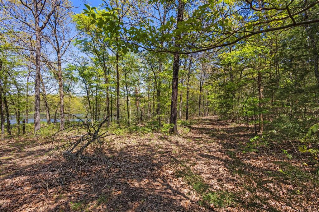 Tbd Fr 906 E Tx Property Photo 16
