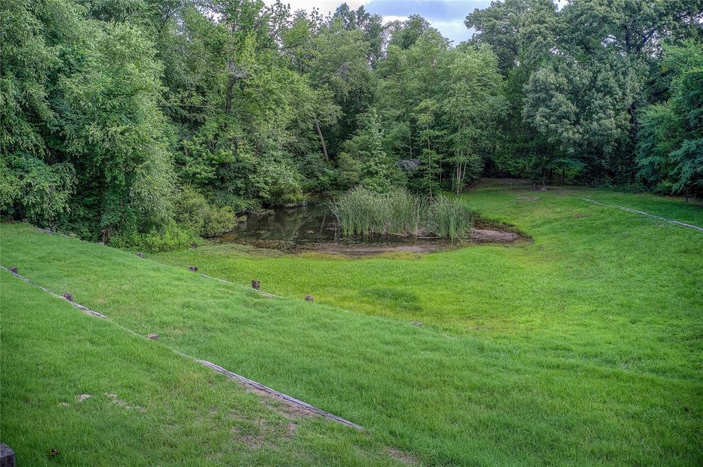 497 County Road 1444 Property Photo 15