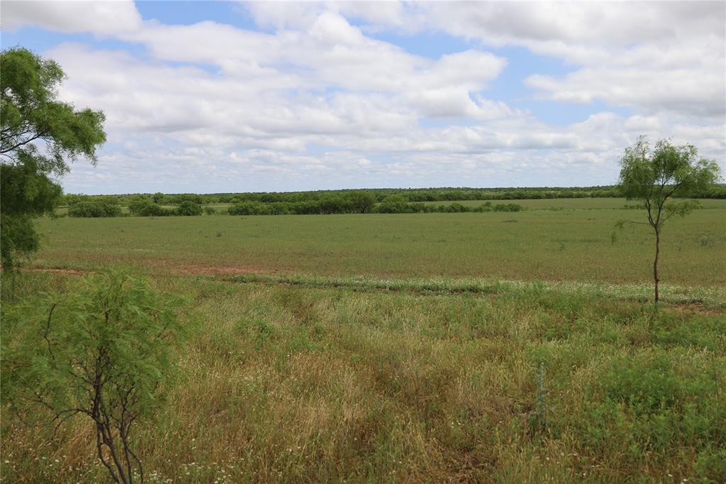 159 Kissinger & Turkey Creek Property Photo 1