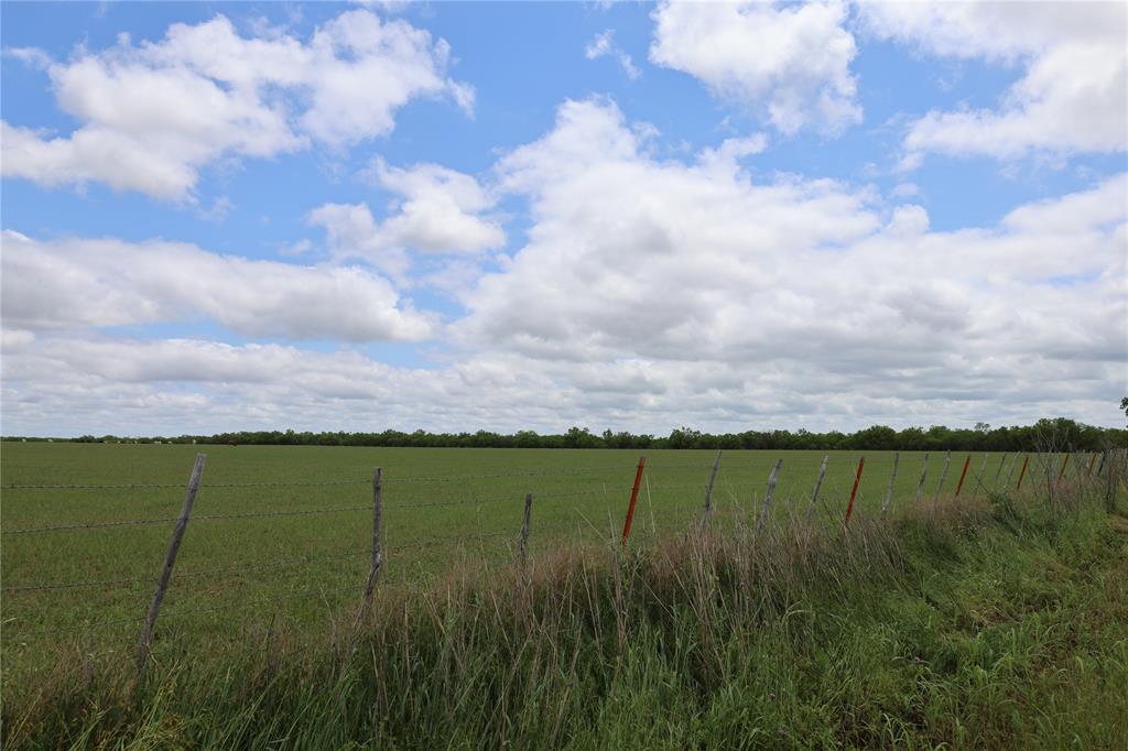 159 Kissinger & Turkey Creek Property Photo 6