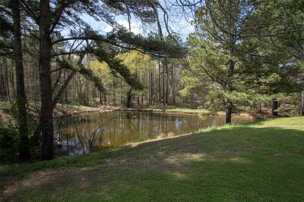 9846 State Highway 31 Property Photo 13