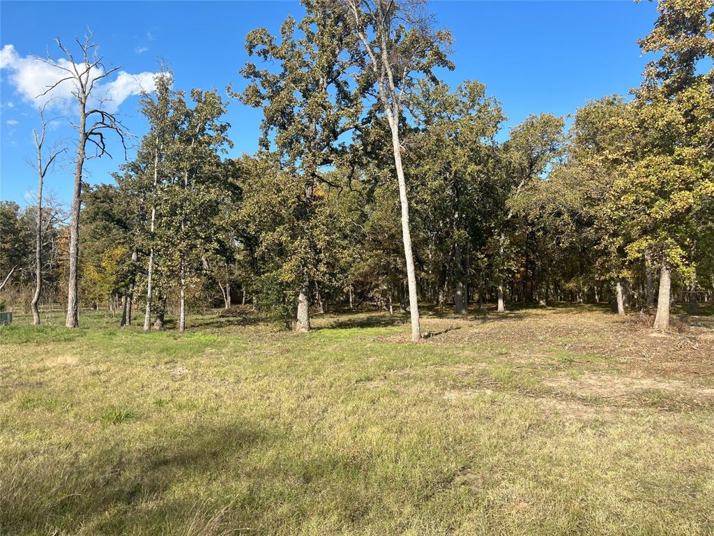 Lot 81 Open Water Point Property Photo 5