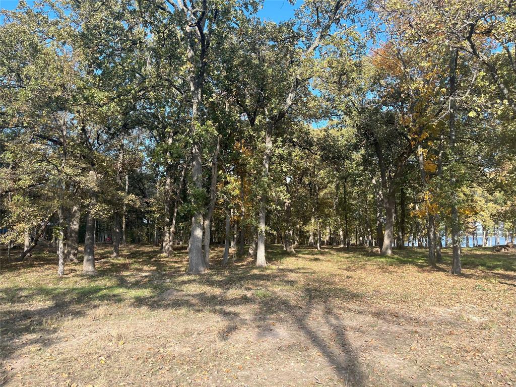 Lot 81 Open Water Point Property Photo 7