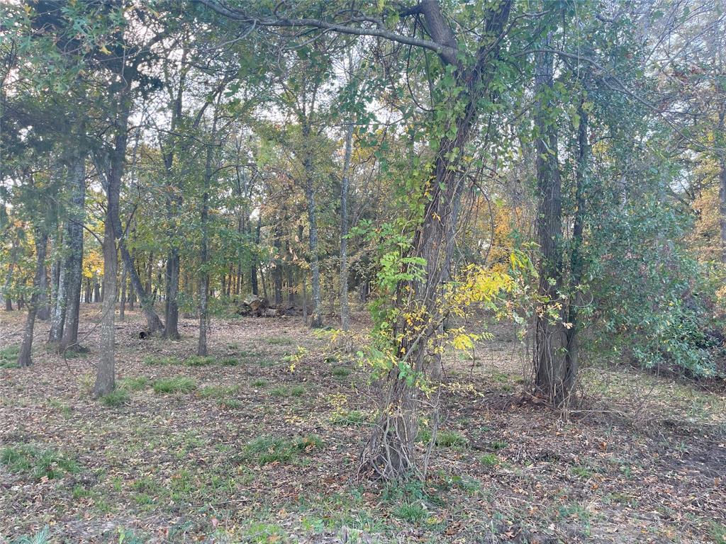 Lot 81 Open Water Point Property Photo 15