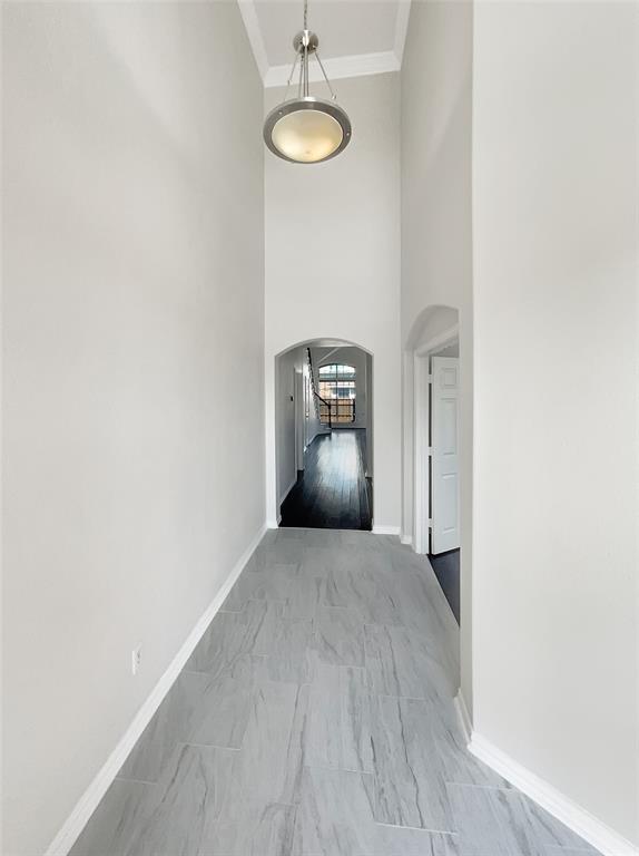 8504 Balta Court Property Photo 12
