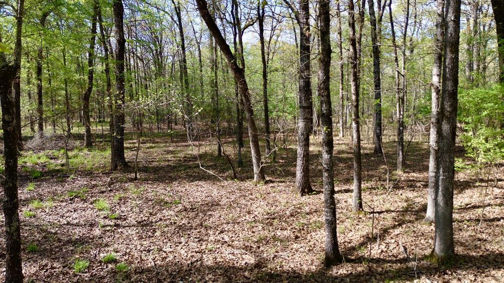 909 Fm Property Photo 4