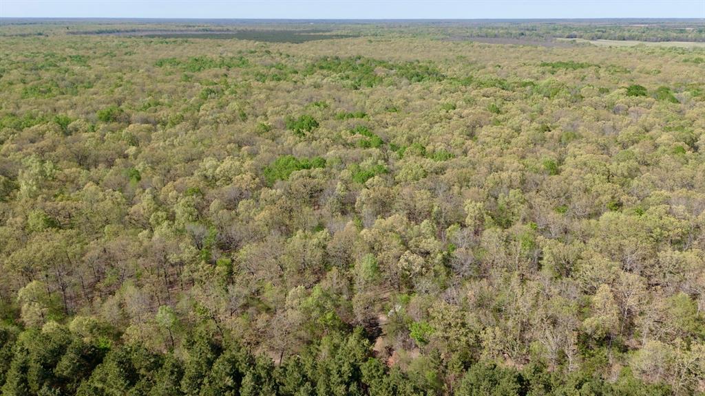 909 Fm Property Photo 6