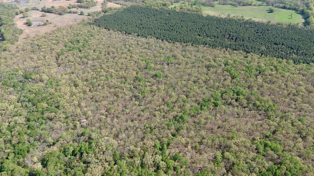 909 Fm Property Photo 7