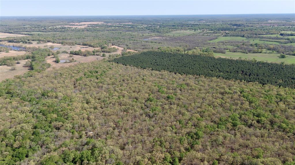 909 Fm Property Photo 8