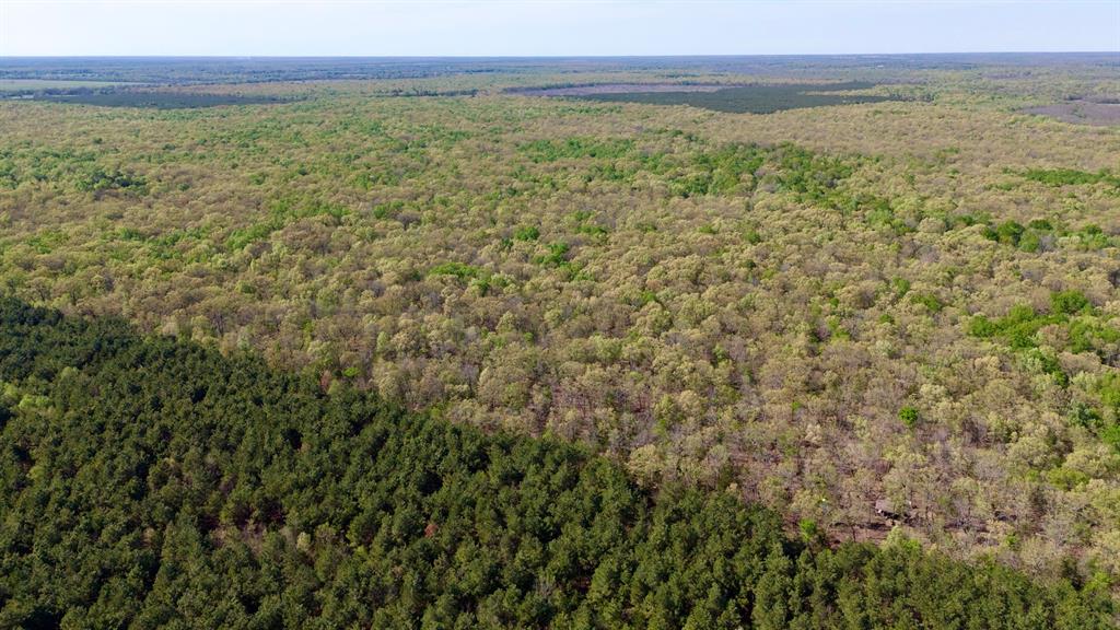 909 Fm Property Photo 10