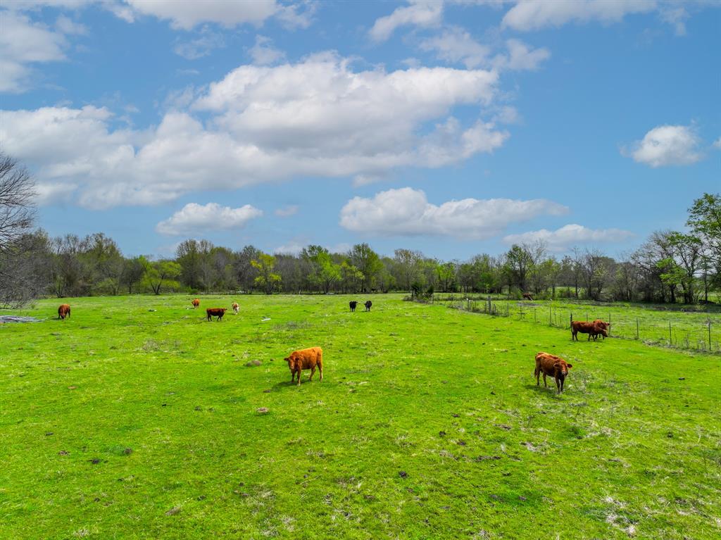 3646 Fm-2285 Property Photo 15