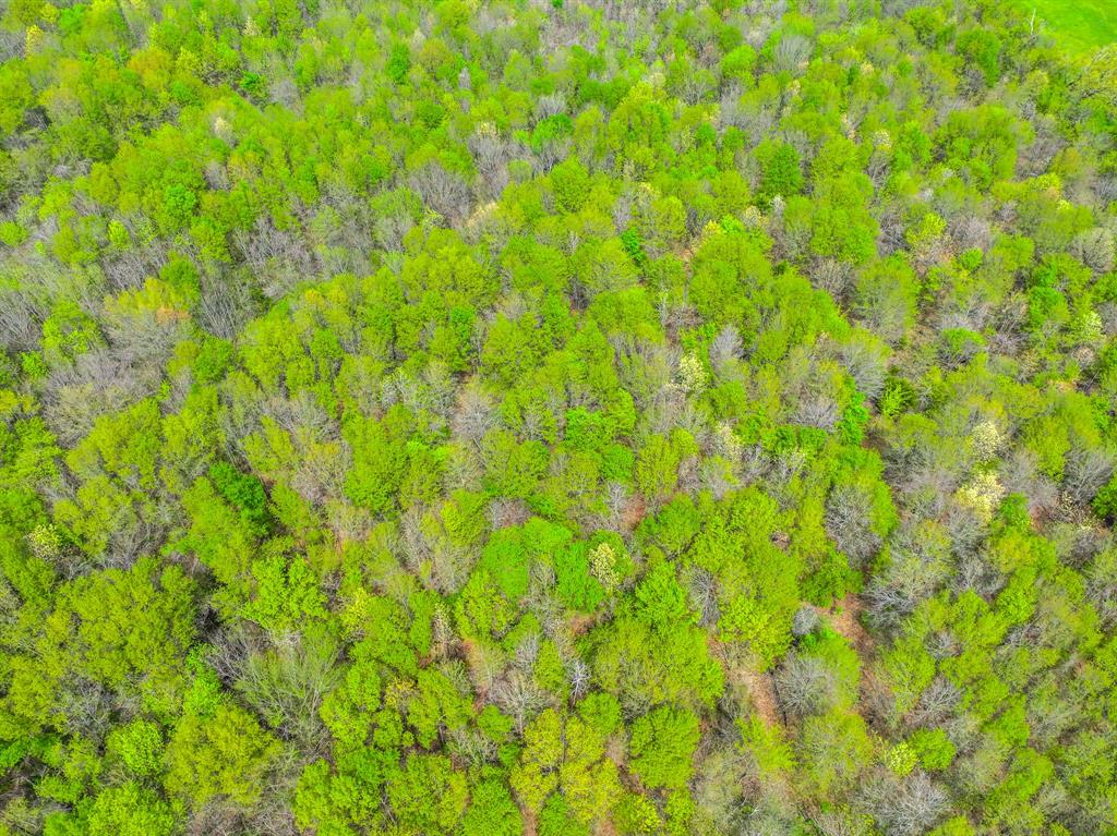 3646 Fm-2285 Property Photo 16