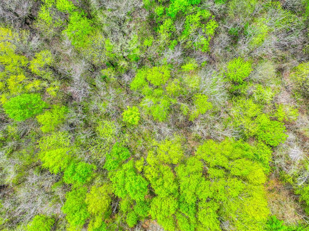 3646 Fm-2285 Property Photo 17