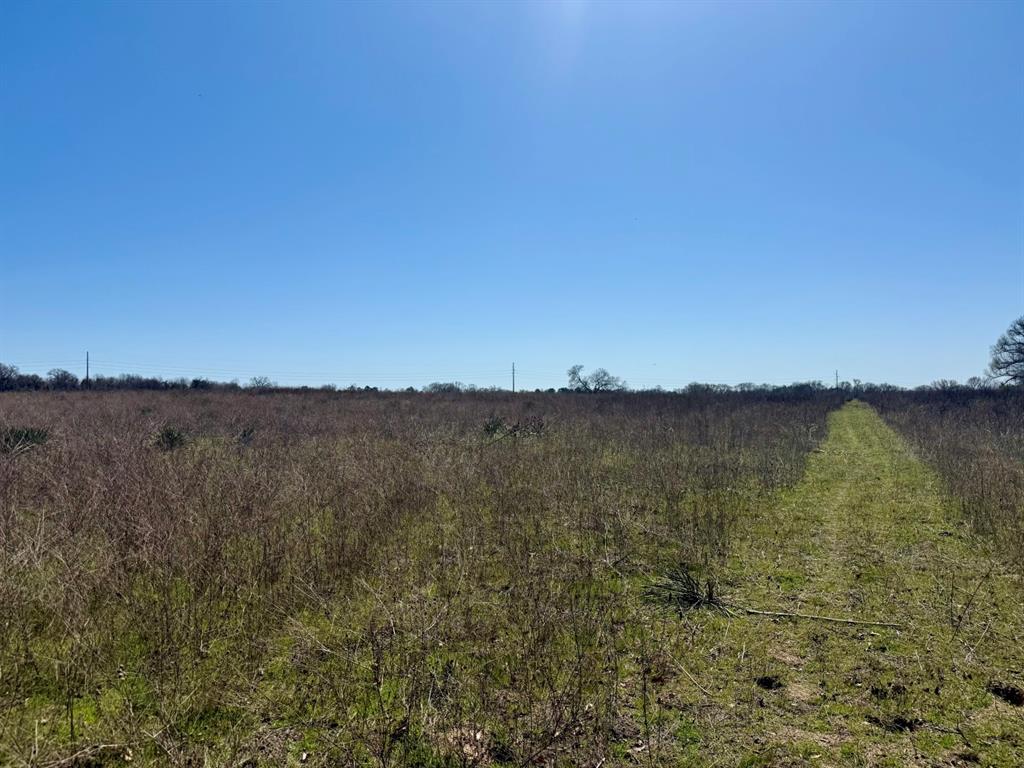 Tbd County Road 2244 Property Photo 12