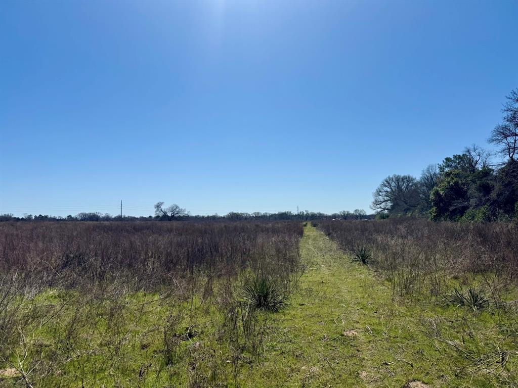 Tbd County Road 2244 Property Photo 13
