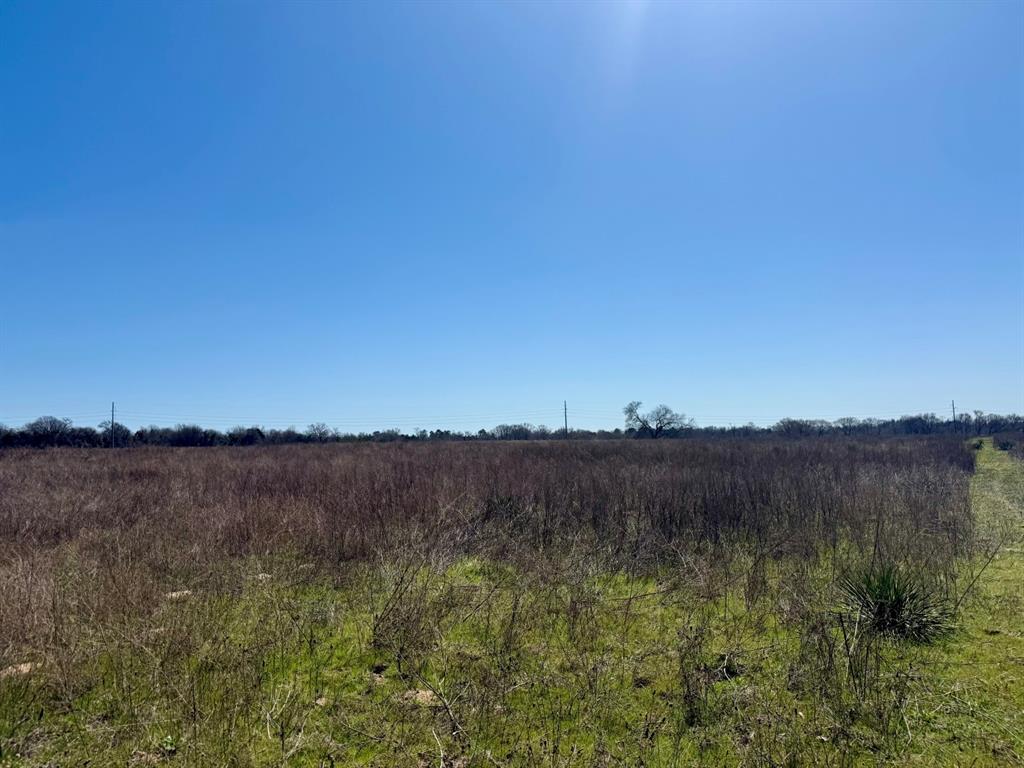 Tbd County Road 2244 Property Photo 14