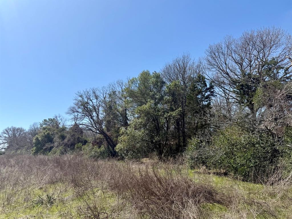 Tbd County Road 2244 Property Photo 15