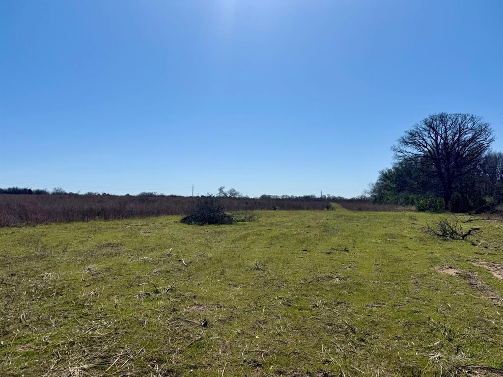 Tbd County Road 2244 Property Photo 16