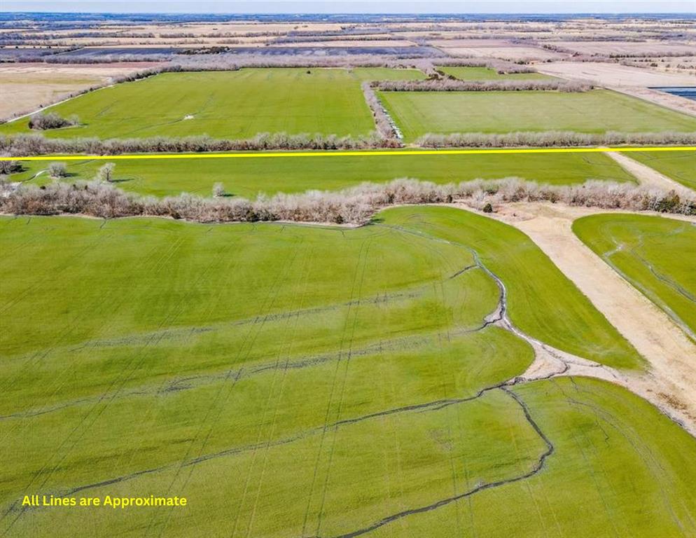 119 Ac County Road 1057 Road 1 Property Photo 5