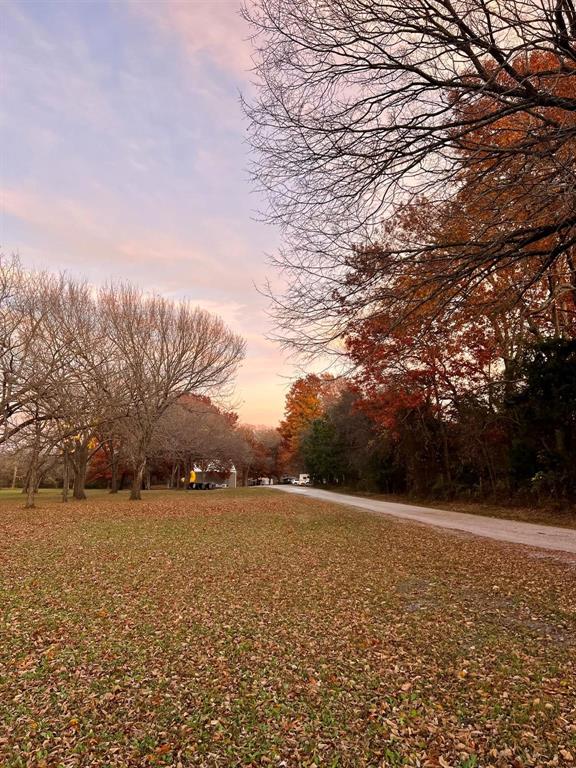 6869 S State Highway 121 Property Photo 24