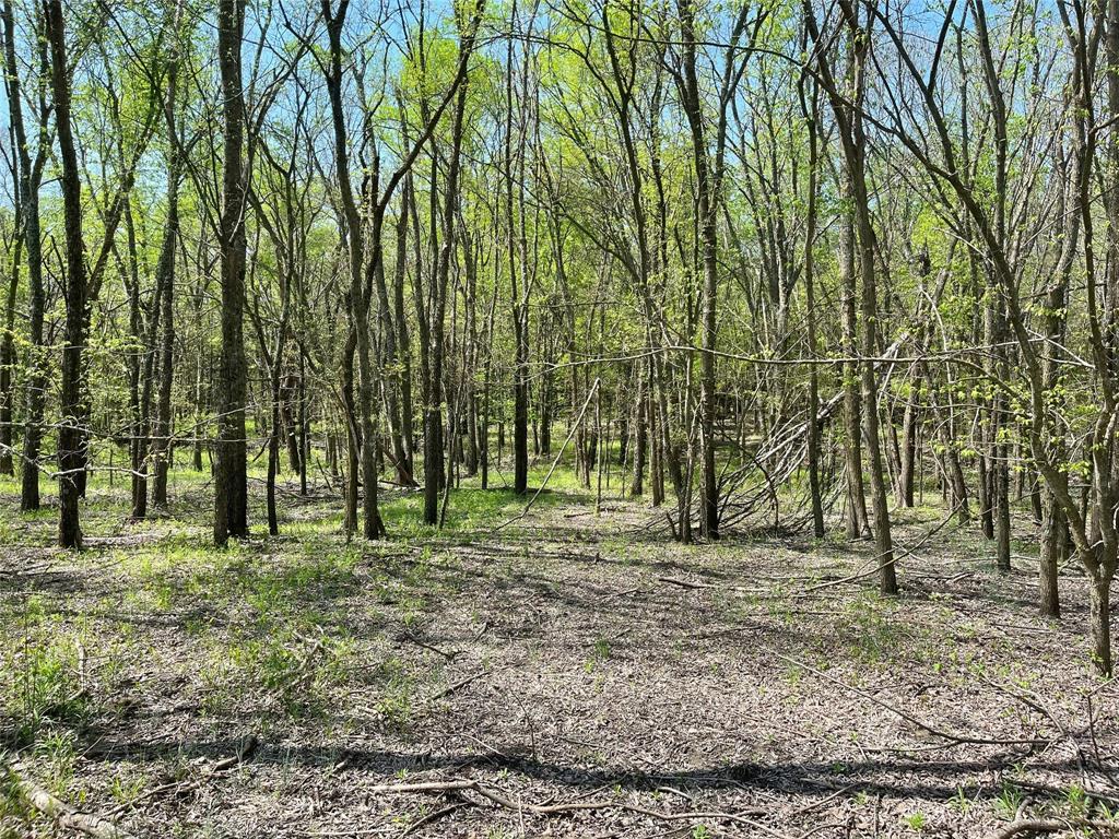 Tbd County Road 3555 Property Photo 2