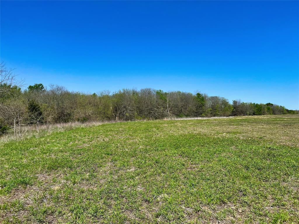Tbd County Road 3555 Property Photo 3