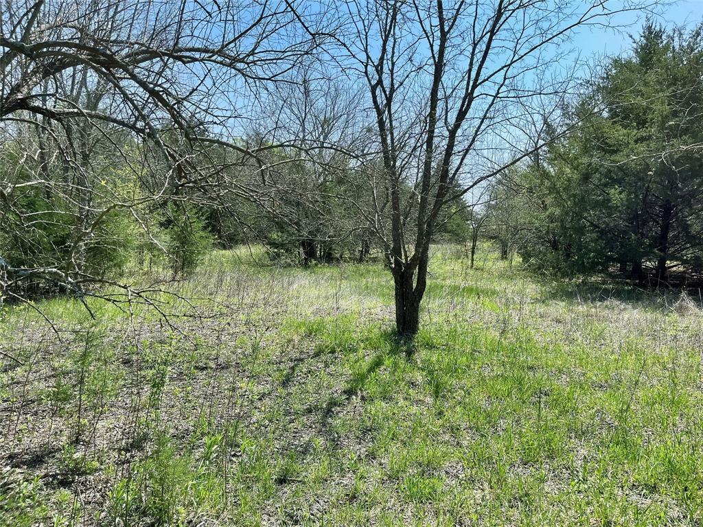 Tbd County Road 3555 Property Photo 4