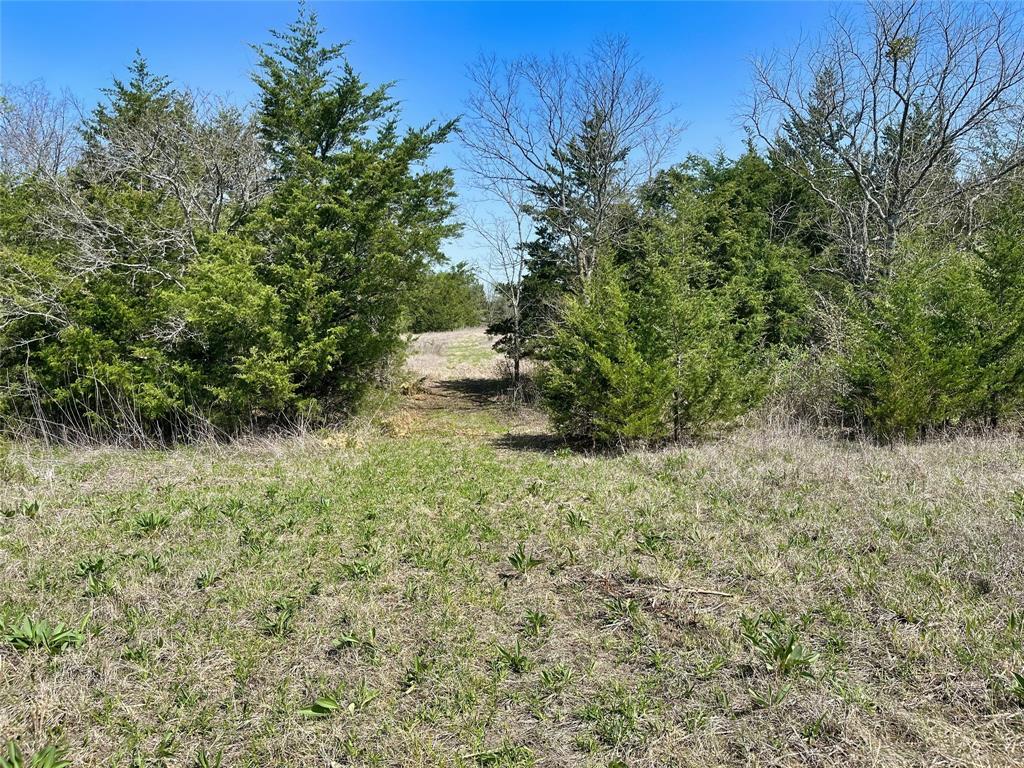 Tbd County Road 3555 Property Photo 5
