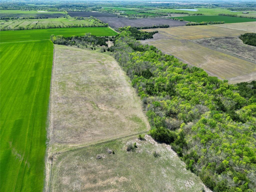 Tbd County Road 3555 Property Photo 6