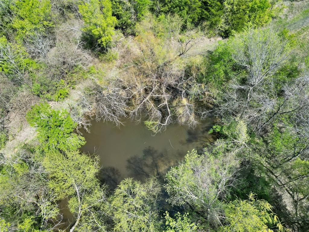 Tbd County Road 3555 Property Photo 7