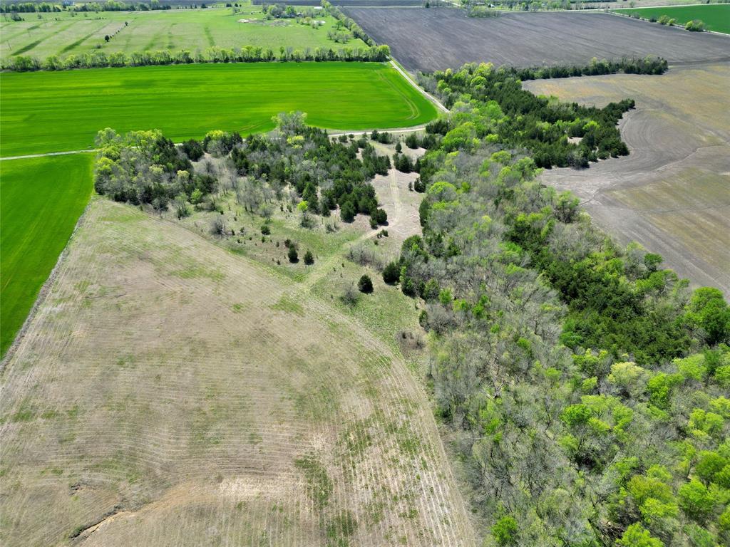 Tbd County Road 3555 Property Photo 8