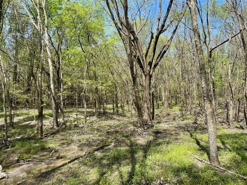 Tbd County Road 3555 Property Photo 9
