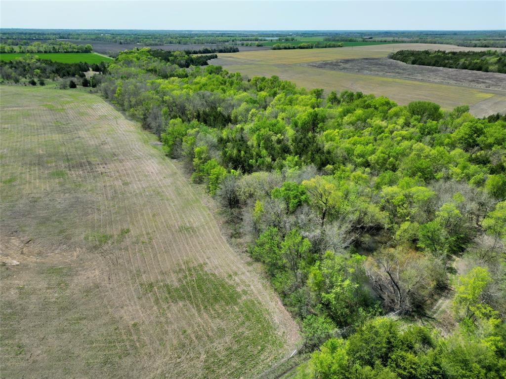 Tbd County Road 3555 Property Photo 10