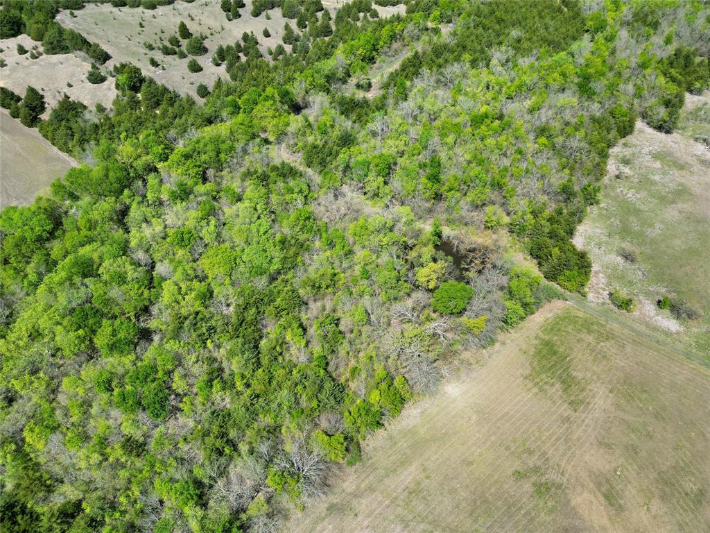 Tbd County Road 3555 Property Photo 11