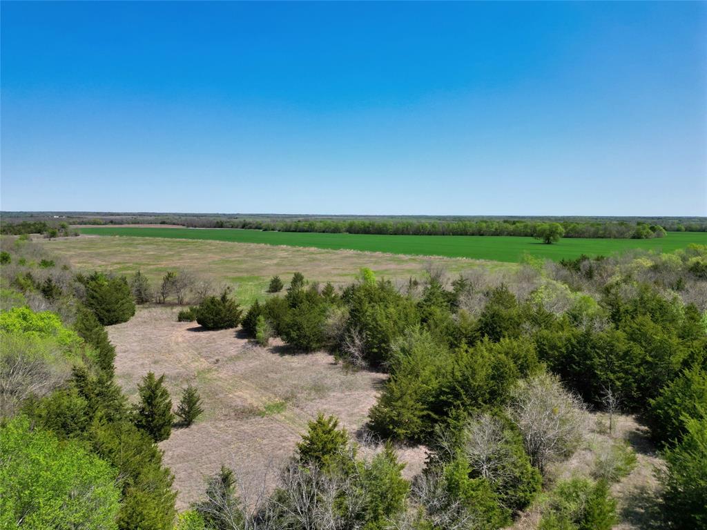 Tbd County Road 3555 Property Photo 12