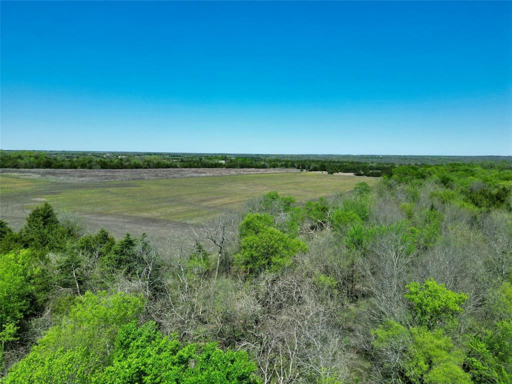 Tbd County Road 3555 Property Photo 13