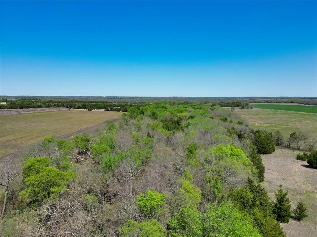 Tbd County Road 3555 Property Photo 14