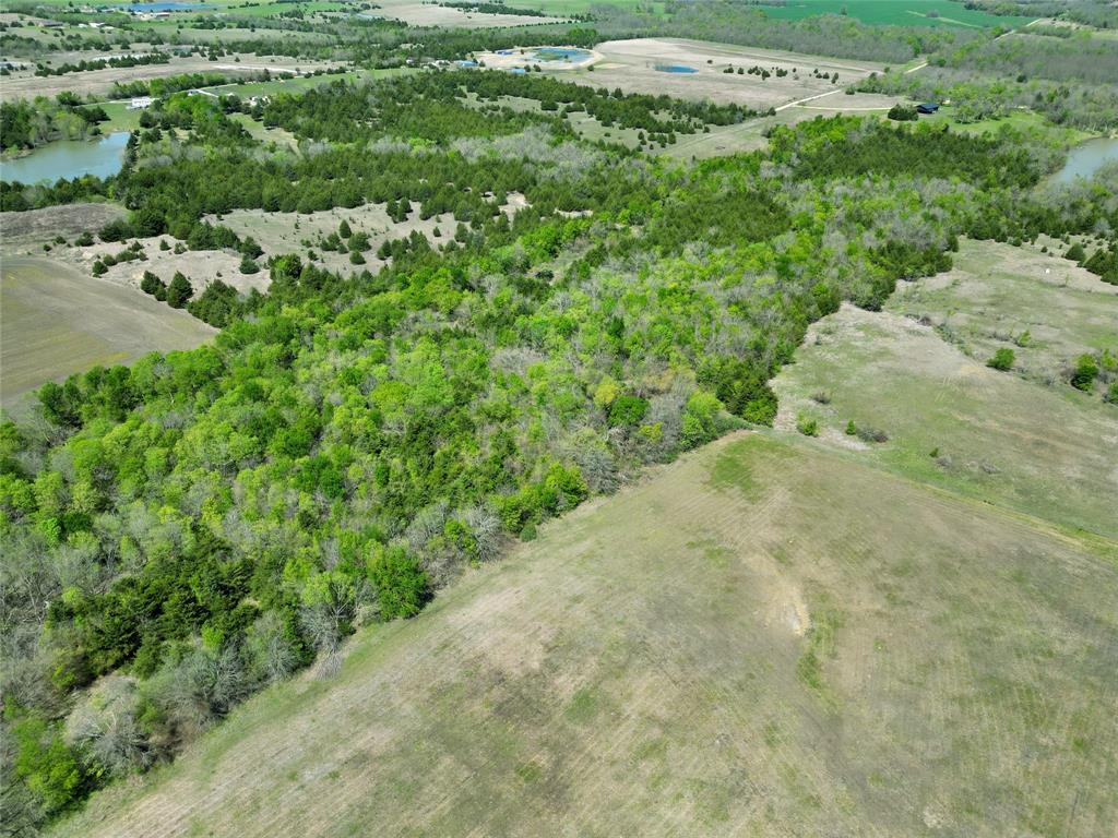 Tbd County Road 3555 Property Photo 15