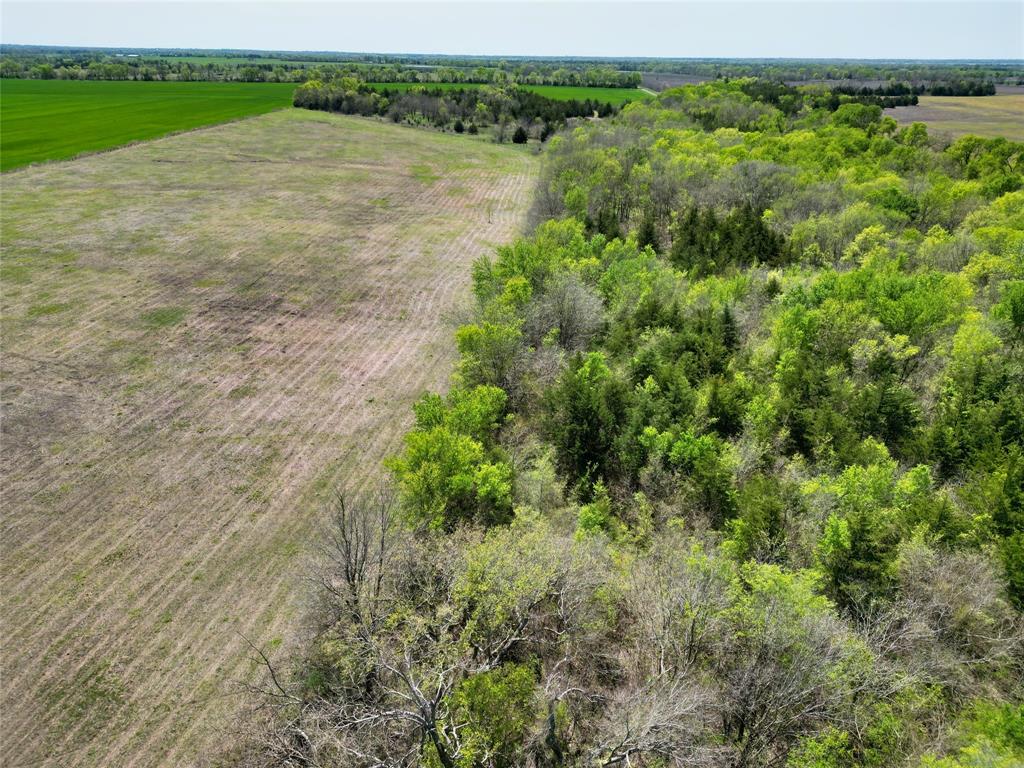 Tbd County Road 3555 Property Photo 16