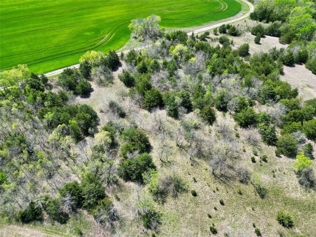 Tbd County Road 3555 Property Photo 17