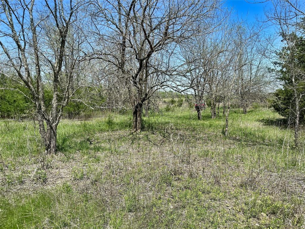 Tbd County Road 3555 Property Photo 18