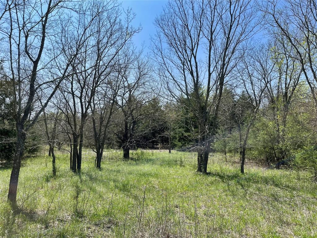 Tbd County Road 3555 Property Photo 19