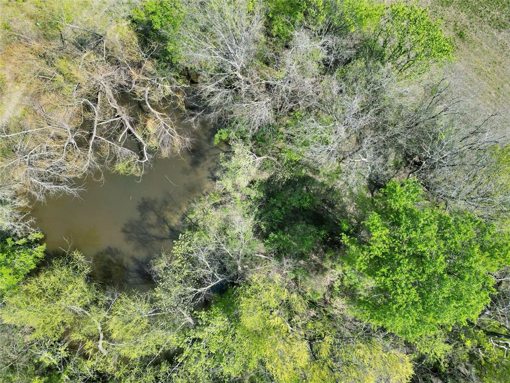 Tbd County Road 3555 Property Photo 21
