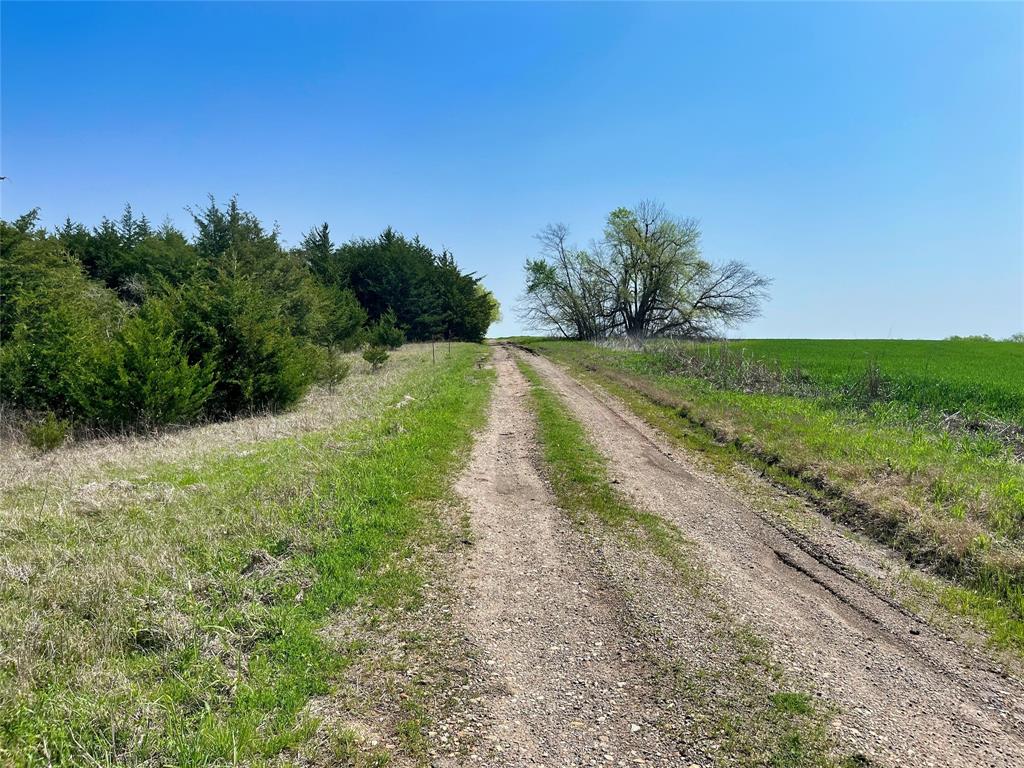 Tbd County Road 3555 Property Photo 22