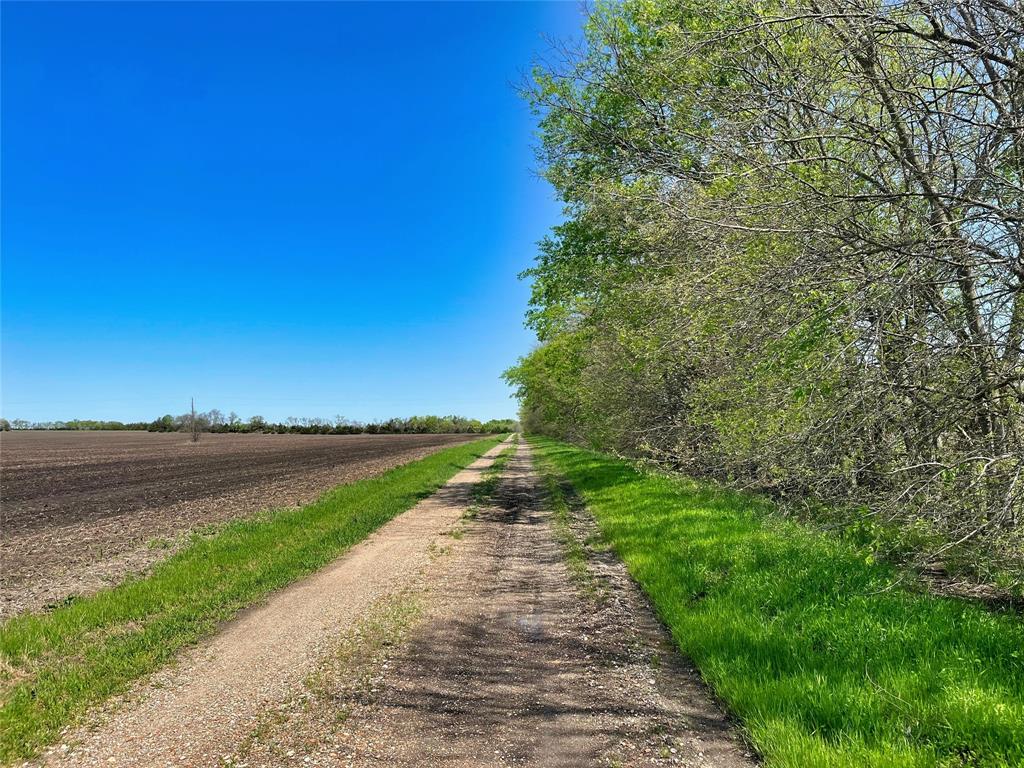 Tbd County Road 3555 Property Photo 23