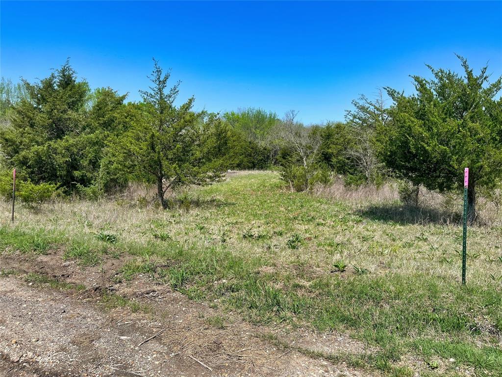 Tbd County Road 3555 Property Photo 24