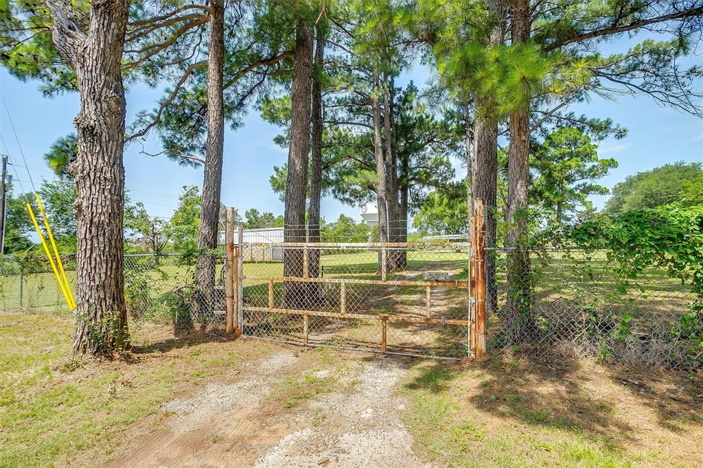 216 County Road 800a Property Photo 1