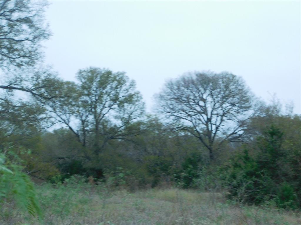 5690 Nw County Road 4052 Property Photo 17